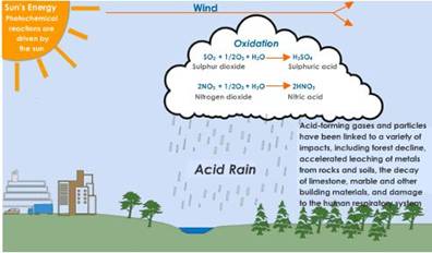 acid-rain.jpeg