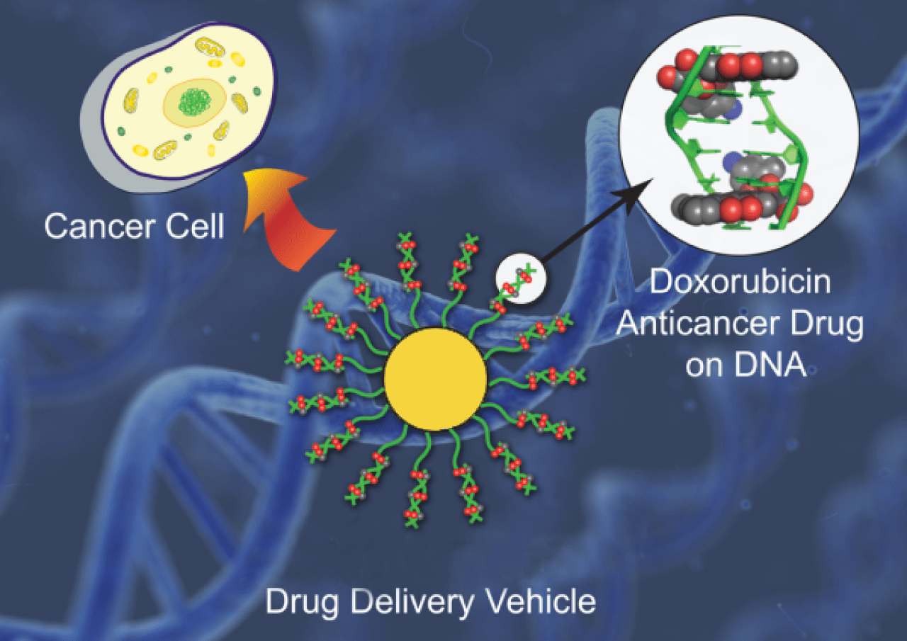 imgs_niqem_ref.anthracycline-antibiotics1.png